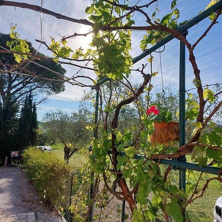 Bed and Breakfast Vento E Mare Riotorto Exterior foto
