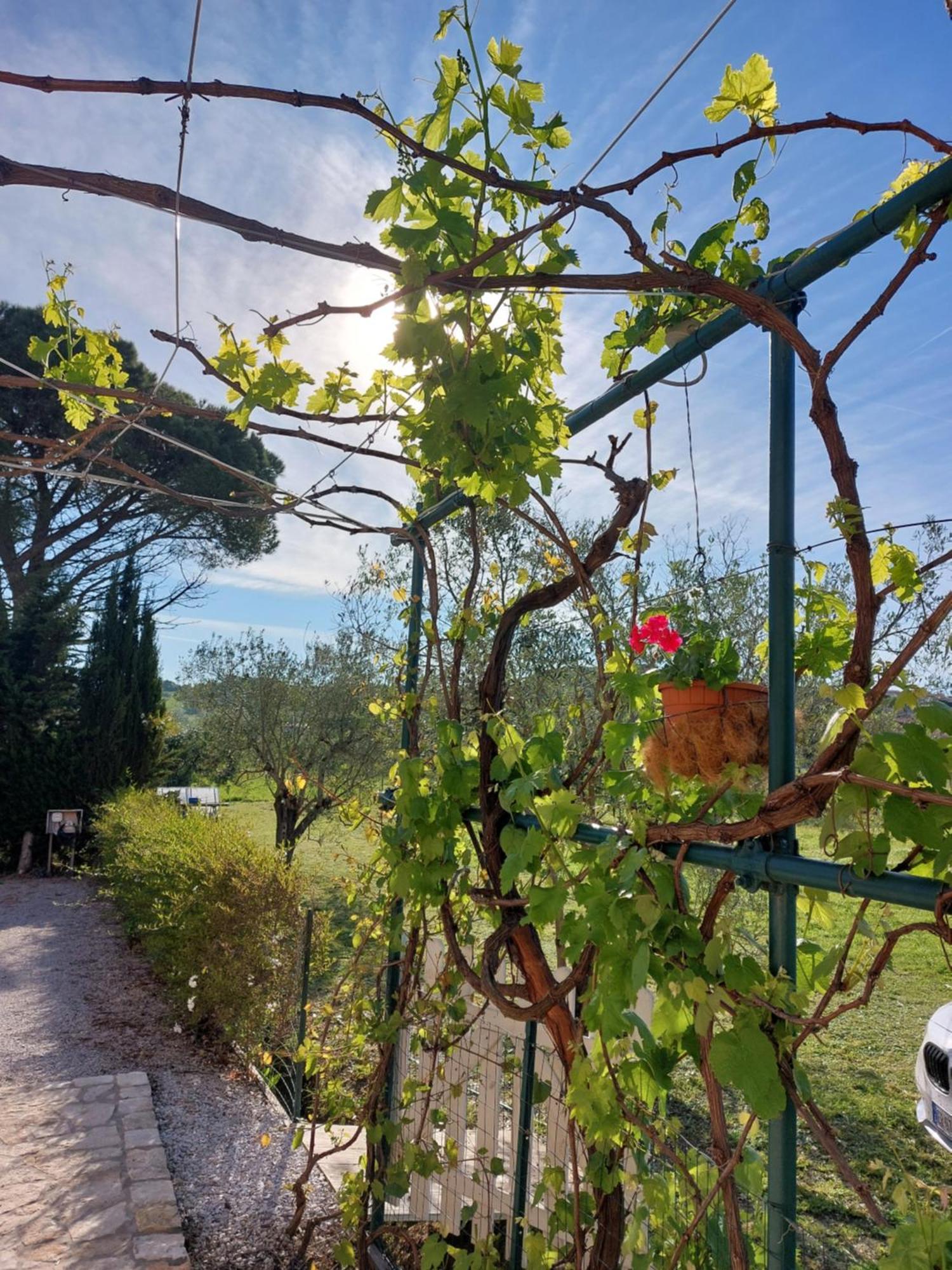 Bed and Breakfast Vento E Mare Riotorto Exterior foto